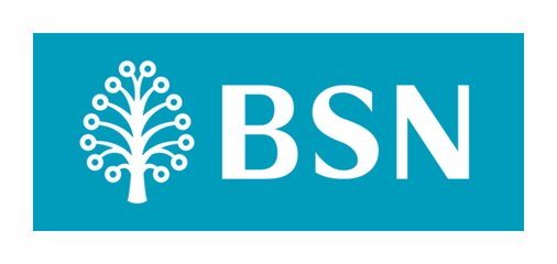 Bank Simpanan Nasional